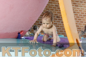 Photo 4228075