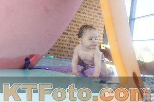 Photo 4228079