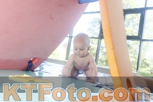 Photo 4228085