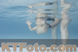 Photo 4228088
