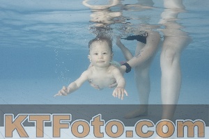 Photo 4228089