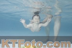 Photo 4228092