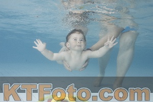 Photo 4228093
