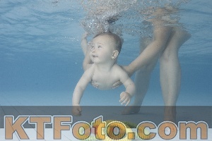 Photo 4228096