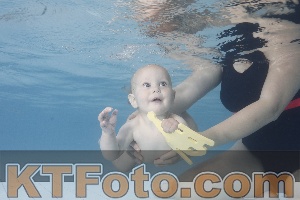 Photo 4228102