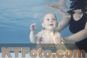 Photo 4228103