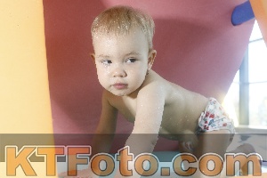 Foto 4228229