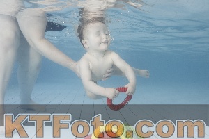 Foto 4228272