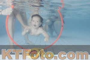 Foto 4228284