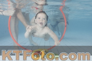 Foto 4228285