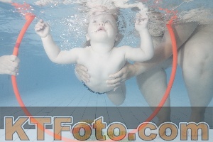 Foto 4228286