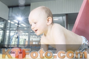 Photo 4228412