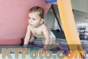 Photo 4228415