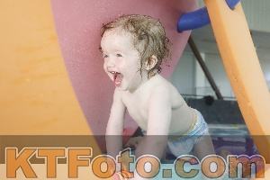 Photo 4228419