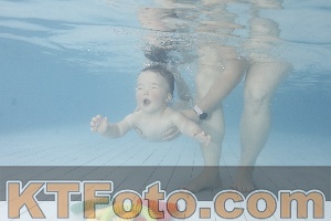 Foto 4228455