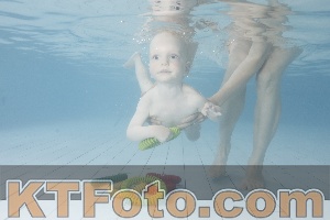 Foto 4228460