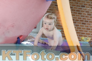 Photo 4228559