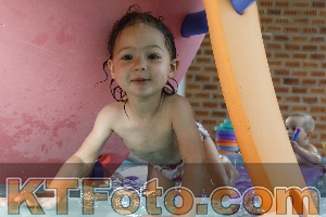 Photo 4228563