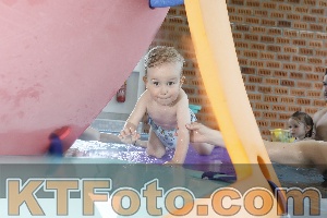 Photo 4228564