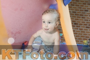 Photo 4228565