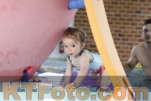 Photo 4228568