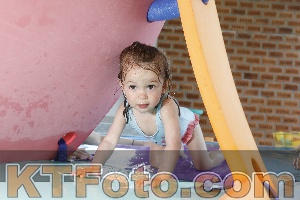Photo 4228569