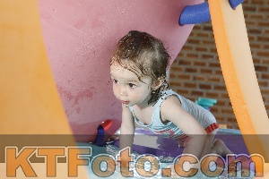 Photo 4228570