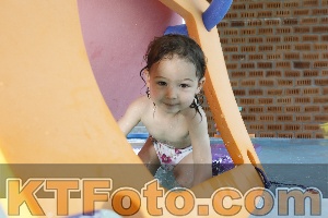 Photo 4228575