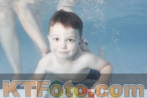 Photo 4228658