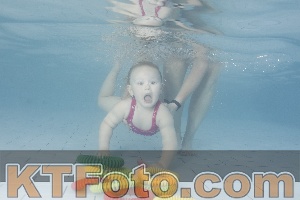 Photo 4228661
