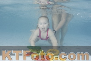 Photo 4228662