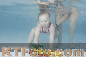 Photo 4228663