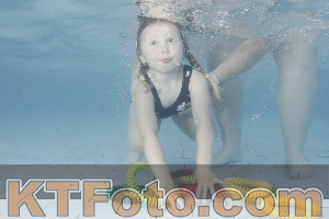 Photo 4228665