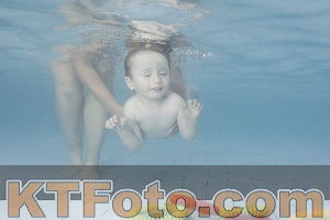 Photo 4228666