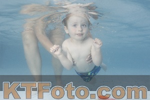 Photo 4228668