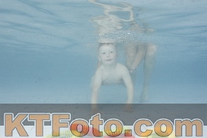 Photo 4228672