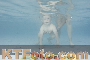 Photo 4228673