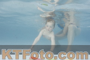 Photo 4228675