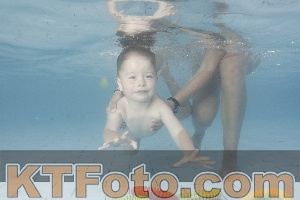 Photo 4228677