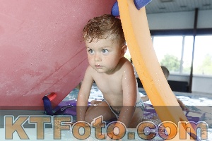 Photo 4228699