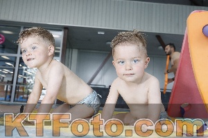 Photo 4228702