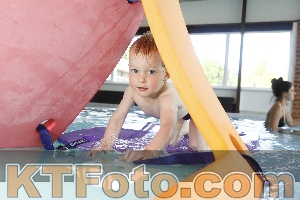 Photo 4228727