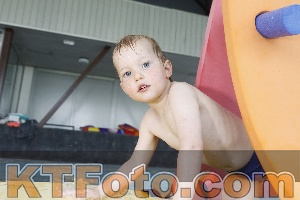 Photo 4228729