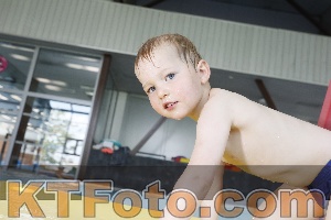 Photo 4228730