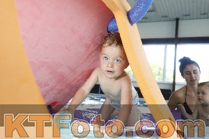 Photo 4228732