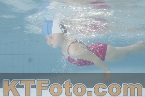 Photo 4228794