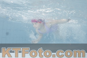 Photo 4228796
