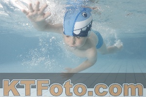 Photo 4228797