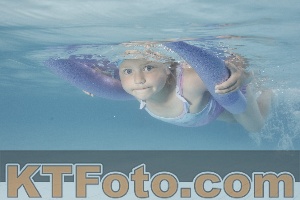Photo 4228836