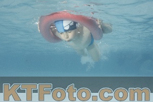 Photo 4228843